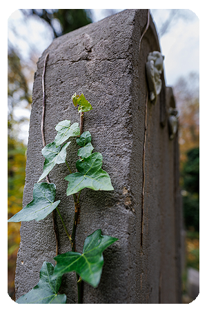 Südfriedhof